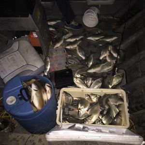 Meet your Posher, Noah